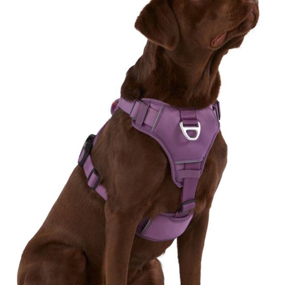 Arcadia Trail Adjustable Neoprene Chest Plate Harness Reflective M